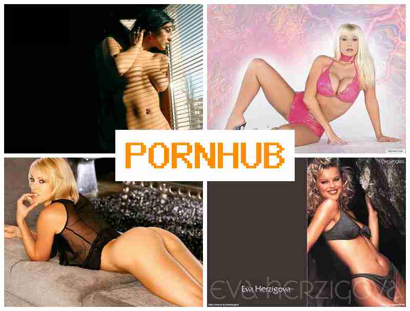 ORNHUB 🔴 10 Webcams Video